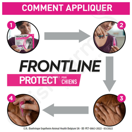 Frontline Protect Solution Pour Spot-On Chiens XS 2-5 kg - 3 pipettes de 0,5 ml