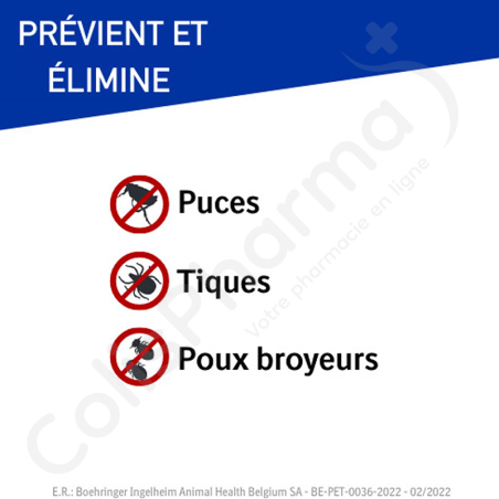 Frontline Spray Anti-Puce - 250 ml