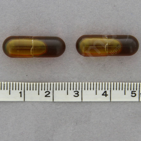 Curcufen - 120 capsules (Licaps)