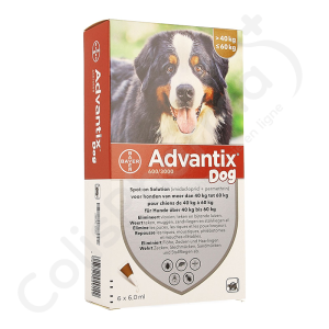 Advantix Dog 600/3000 Honder 40-60 kg - 6 pipetten van 6 ml