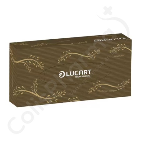 Mouchoirs papier Lucart Econatural - 1 boîte de 100 mouchoirs 2 plis
