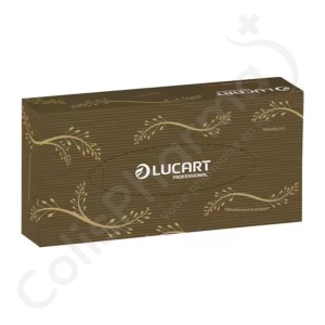 Mouchoirs papier Lucart Econatural - 1 boîte de 100 mouchoirs 2 plis