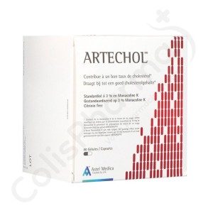 Artechol In - 90 gélules