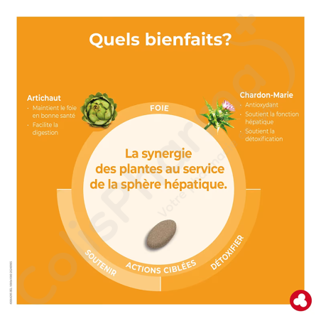 Ortis DépurFoie - 60 tabletten