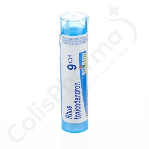 Rhus Toxicodendron 9 CH - Granulaat 4 g
