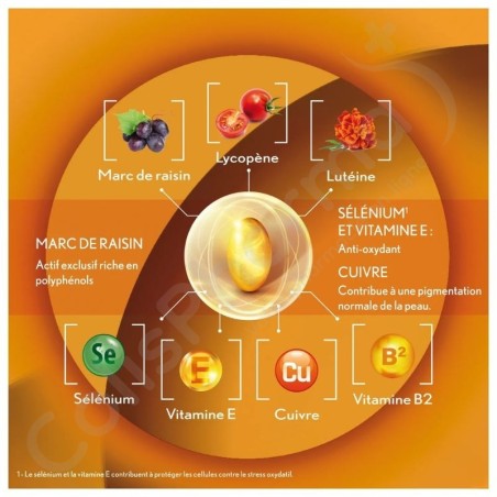 Oenobiol Sun Expert Préparateur Solaire Peau Sensible - 2x30 capsules