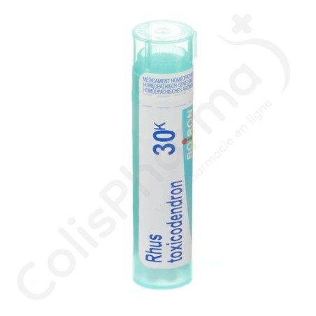 Rhus Toxicodendron 30k - Granulés 4 g