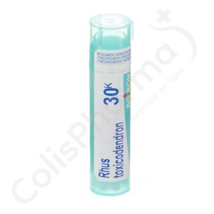 Rhus Toxicodendron 30k - Granulés 4 g