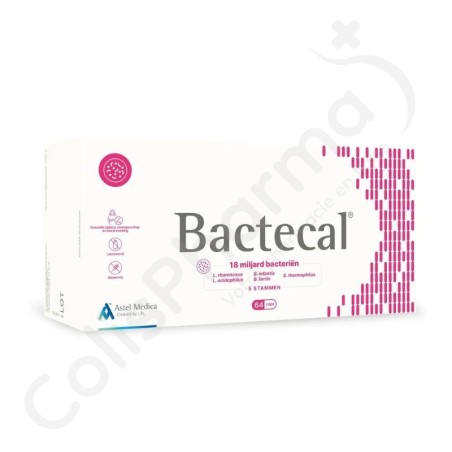 Bactecal - 64 gélules