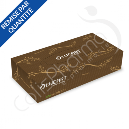 Lucart Econatural Facial Tissues - 1 doos van 100 2-laags tissues