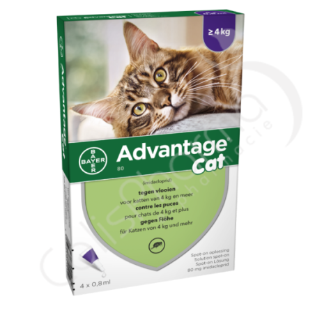 Advantage Cat 80 Chats > 4 kg - 4 pipettes de 0,8 ml