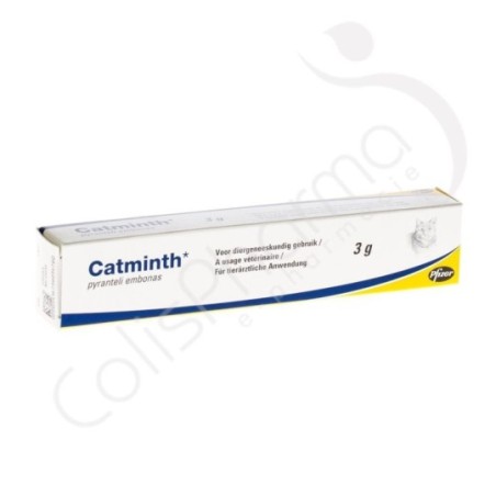Catminth - Pâte 3 g