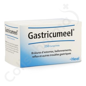 Gastricumeel - 250 tabletten