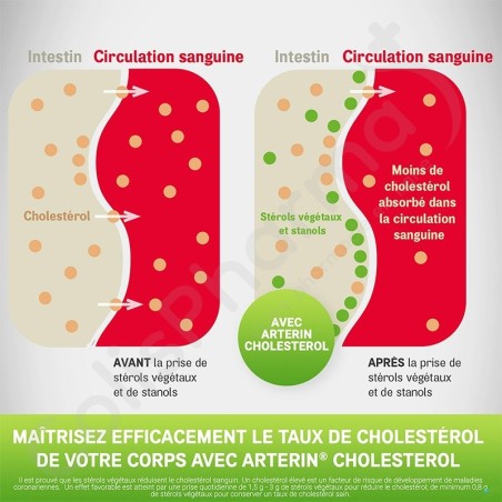 Arterin Cholestérol - 45 comprimés