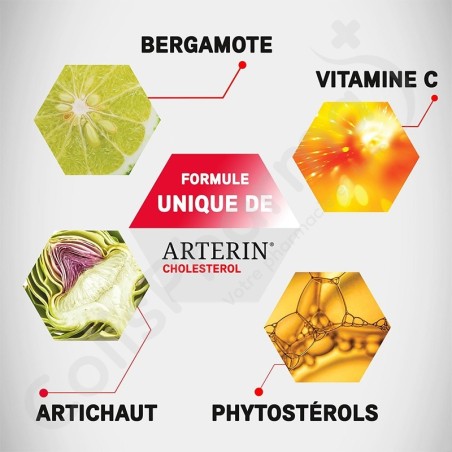 Arterin Cholestérol - 90 comprimés