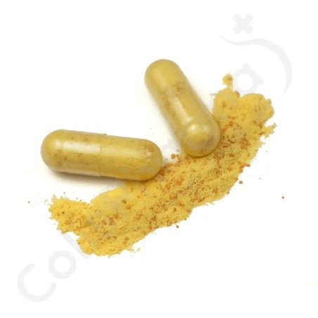 Curcuma 100 - 30 capsules