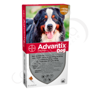 Advantix Dog 600/3000 Chiens de 40 à 60 kg - 6 pipettes de 6 ml