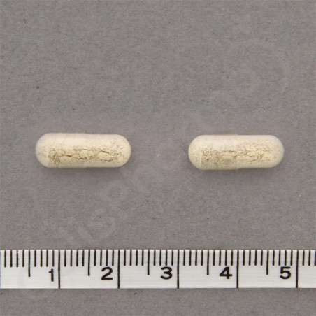 FerroDyn Forte - 90 capsules