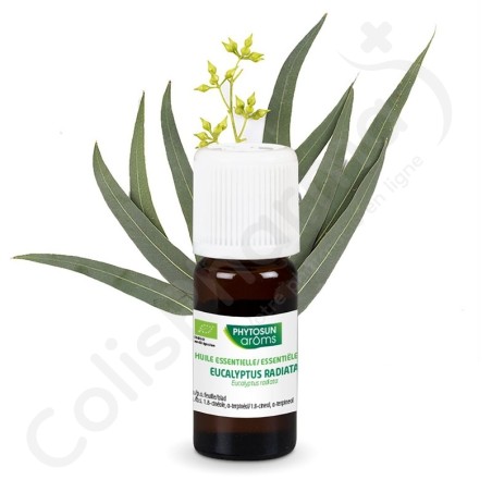 Phytosun Eucalyptus Radiata - 10 ml