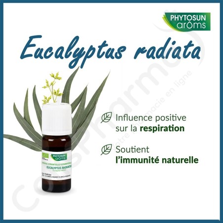 Phytosun Eucalyptus Radiata - 10 ml