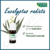 Phytosun Eucalyptus Radiata - 10 ml