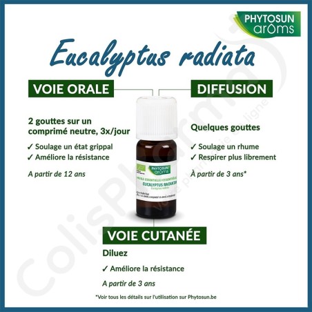 Phytosun Eucalyptus Radiata - 10 ml