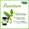Phytosun Ravintsare - 5 ml