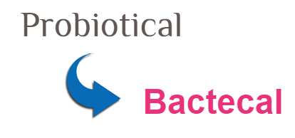 Probiotical devient Bactecal