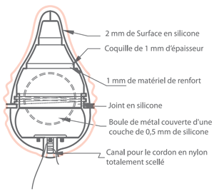 Mise en place de Pelvix